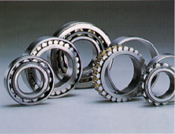 Cylindrical Roller Bearings